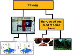 Graphical abstract: Determination of Cd and Cr in tannin samples by high-resolution continuum source graphite furnace atomic absorption spectrometry and direct solid sample sequential analysis (HR-CS SS-GF AAS)