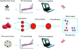 Graphical abstract: Instrumental assessment of red meat origins and their storage time using electronic sensing systems