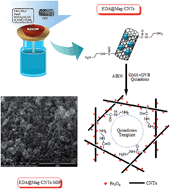 Graphical abstract: Ethylenediamine-functionalized superparamagnetic carbon nanotubes for magnetic molecularly imprinted polymer matrix solid-phase dispersion extraction of 12 fluoroquinolones in river water
