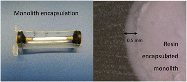 Graphical abstract: Development of a resin based silica monolithic column encapsulation