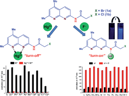 Graphical abstract: 1,8-Naphthyridinic fluorescent ‘turn-on’ and ‘turn-off’ chemosensors for detection of F− and Hg2+ ions mimicking INHIBIT molecular logic behaviour