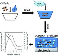 Graphical abstract: Carbon nanotube–ionic liquid composite gel based high-performance bioanode for glucose/O2 biofuel cells