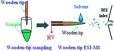 Graphical abstract: Wooden-tip electrospray ionization mass spectrometry for trace analysis of toxic and hazardous compounds in food samples