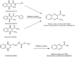 Graphical abstract: Determination of quinoxaline antibiotics in fish feed by enzyme-linked immunosorbent assay using a monoclonal antibody