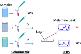 Graphical abstract: Integration of colorimetric and SERS detection for rapid screening and validation of melamine in milk