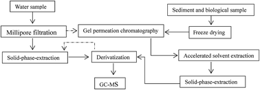 Graphical abstract: Simultaneous determination of progestogens, androgens, estrogens and phenols in water, sediment and biological samples by enolisation–silylation with ASE-GPC-SPE-GC/MS