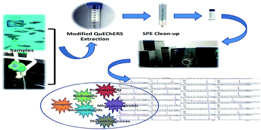 Graphical abstract: Determination of 26 endocrine disrupting chemicals in fish and water using modified QuEChERS combined with solid-phase extraction and UHPLC-MS/MS