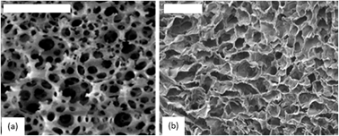Graphical abstract: Supermacroporous polyHIPE and cryogel monolithic materials as stationary phases in separation science: a review