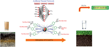Graphical abstract: Adsorption of cadmium(ii) and copper(ii) from soil and water samples onto a magnetic organozeolite modified with 2-(3,4-dihydroxyphenyl)-1,3-dithiane using an artificial neural network and analysed by flame atomic absorption spectrometry