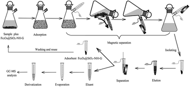 Graphical abstract: Graphene grafted magnetic microspheres for solid phase extraction of bisphenol A and triclosan from water samples followed by gas chromatography-mass spectrometric analysis