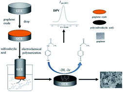 Graphical abstract: One-step electrochemical preparation of a reduced graphene oxide/poly(sulfosalicylic acid) nanocomposite film for detection of acetaminophen and its application in human urine and serum studies