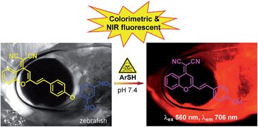 Graphical abstract: A colorimetric and near-infrared fluorescent turn-on probe for in vitro and in vivo detection of thiophenols