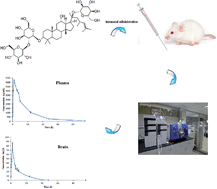 Graphical abstract: Pharmacokinetics and brain distribution studies of ginsenoside Rd in rats via intranasal administration by LC-MS/MS