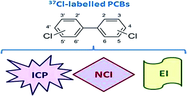Graphical abstract: Comparison of different mass spectrometric techniques for the determination of polychlorinated biphenyls by isotope dilution using 37Cl-labelled analogues
