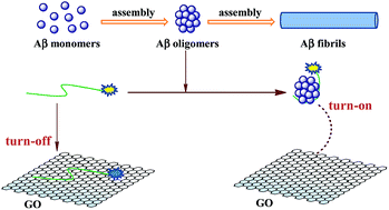 Graphical abstract: A graphene oxide-based fluorescent platform for selective detection of amyloid-β oligomers