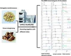Graphical abstract: Quantitative comparative analysis of main isoflavonoids and saponins in the Huangqi–Sanqi herb pair using ultra-high-performance liquid chromatography coupled with triple quadrupole electrospray tandem mass spectrometry