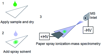 Graphical abstract: Direct analysis of herbicides by paper spray ionization mass spectrometry