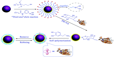 Graphical abstract: Click synthesis of boronic acid-functionalized molecularly imprinted silica nanoparticles with polydopamine coating for enrichment of trace glycoproteins