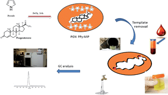 Graphical abstract: Selective extraction of progesterone hormones from environmental and biological samples using a polypyrrole molecularly imprinted polymer and determination by gas chromatography