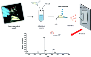 Graphical abstract: Paper spray mass spectrometry applied to the detection of cocaine in simulated samples