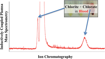 Graphical abstract: Chlorine speciation analysis in blood by ion chromatography-inductively coupled plasma mass spectrometry