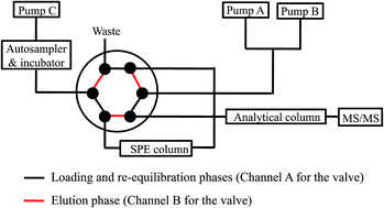 Graphical abstract: Direct stability characterization of aconite alkaloids in different media by autosampler-mediated incubation-online solid phase extraction-LC-MS/MS