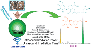 Graphical abstract: Ionic liquid–lithium salt based microwave pretreatment followed by ultrasonic-assisted extraction of syringin and oleuropein from Syringa reticulata var. mandshurica branch bark by a dual response surface methodology