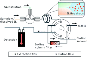 Graphical abstract: Salt-induced ionic liquid dispersive liquid–liquid microextraction and filter separation