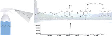 Graphical abstract: Sensitive determination of glutaraldehyde in environmental water by derivatization and gas chromatography-mass spectrometry