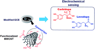 Graphical abstract: Electrochemical sensing of levodopa or carbidopa using a glassy carbon electrode modified with carbon nanotubes within a poly(allylamine hydrochloride) film