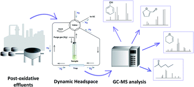 Graphical abstract: Application of dynamic headspace and gas chromatography coupled to mass spectrometry (DHS-GC-MS) for the determination of oxygenated volatile organic compounds in refinery effluents