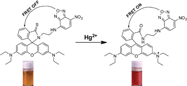 Graphical abstract: A highly selective fluorescent and colorimetric chemosensor for Hg2+ based on a new rhodamine derivative