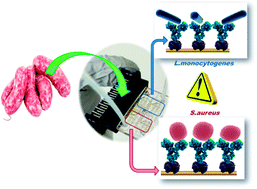 Graphical abstract: A multipurpose biochip for food pathogen detection