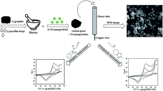 Graphical abstract: A novel and simple electrochemical sensor for some dopaminergic drugs such as selegiline and pramipexole based on a nickel nanoparticle modified carbon paste electrode