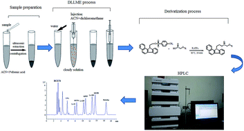 Graphical abstract: A sensitive and efficient method for the determination of 8 chlorophenoxy acid herbicides in crops by dispersive liquid–liquid microextraction and HPLC with fluorescence detection and identification by MS