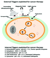 Graphical abstract: Trigger responsive polymeric nanocarriers for cancer therapy