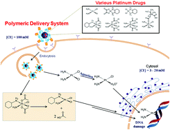 Graphical abstract: Polymeric biomaterials for the delivery of platinum-based anticancer drugs