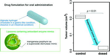 Graphical abstract: A drug formulation using an alginate hydrogel matrix for efficient oral delivery of the manganese porphyrin-based superoxide dismutase mimic
