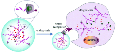 Graphical abstract: Hyperbranched PEG-based supramolecular nanoparticles for acid-responsive targeted drug delivery