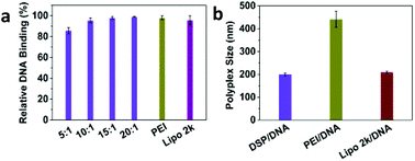 Graphical abstract: A knot polymer mediated non-viral gene transfection for skin cells