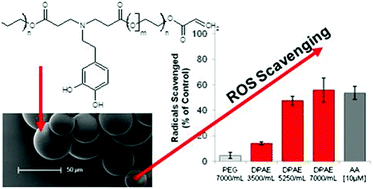 Graphical abstract: Synthesis of ROS scavenging microspheres from a dopamine containing poly(β-amino ester) for applications for neurodegenerative disorders