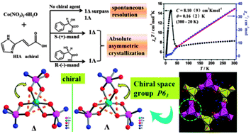 Graphical abstract: A homochiral magnet based on D3 symmetric [(NaO3)Co3] clusters: from spontaneous resolution to absolute chiral induction