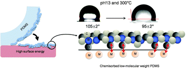 Graphical abstract: Strong hydrophobizer: laterally chemisorbed low-molecular-weight polydimethylsiloxane
