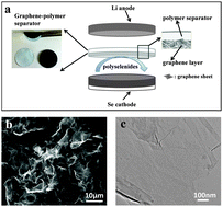 Graphical abstract: Localized polyselenides in a graphene-coated polymer separator for high rate and ultralong life lithium–selenium batteries