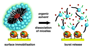 Graphical abstract: Surface-immobilised micelles via cucurbit[8]uril-rotaxanes for solvent-induced burst release