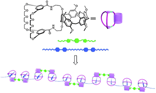 Graphical abstract: A pillar[5]arene-fused cryptand: from orthogonal self-assembly to supramolecular polymer