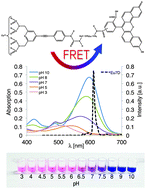 Graphical abstract: A FRET based pH probe with a broad working range applicable to referenced ratiometric dual wavelength and luminescence lifetime read out