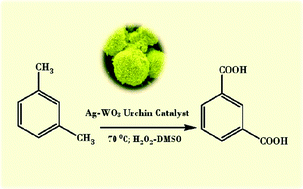 Graphical abstract: Fabrication of three dimensional (3D) hierarchical Ag/WO3 flower-like catalyst materials for the selective oxidation of m-xylene to isophthalic acid