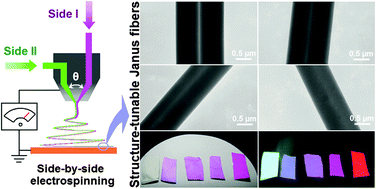 Graphical abstract: Structure-tunable Janus fibers fabricated using spinnerets with varying port angles