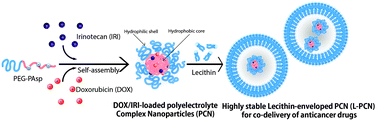 Graphical abstract: Engineering of a lipid-polymer nanoarchitectural platform for highly effective combination therapy of doxorubicin and irinotecan